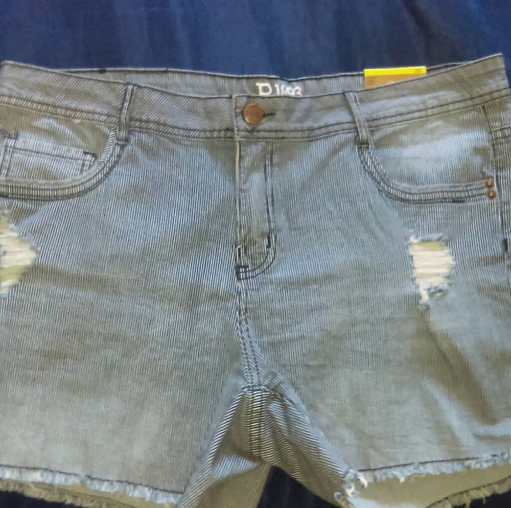 Women's New Midi Shorts